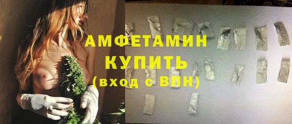 дмт Алзамай