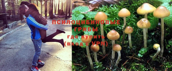 стаф Алексин