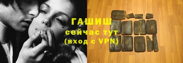стаф Алексин