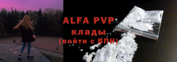 стаф Алексин