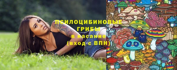 стаф Алексин