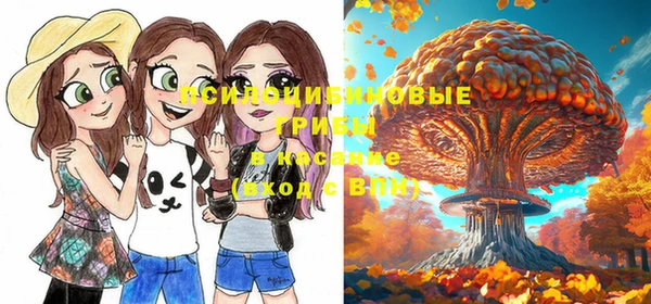 спиды Алексеевка