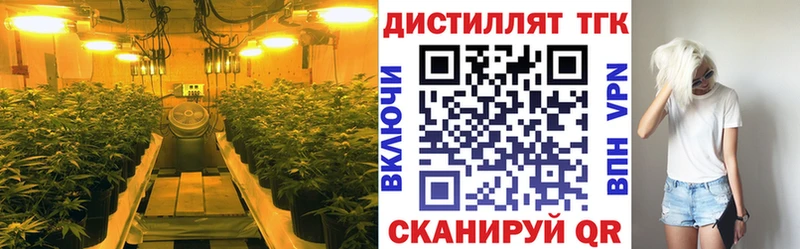 купить  сайты  Ардон  Дистиллят ТГК вейп 