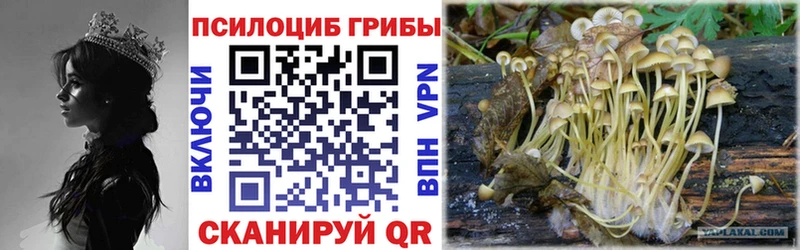 продажа наркотиков Ардон Галлюциногенные грибы ЛСД